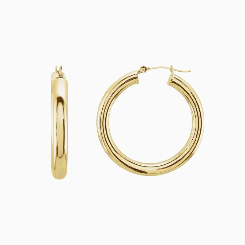 Drop earrings for women-BHE Earrings