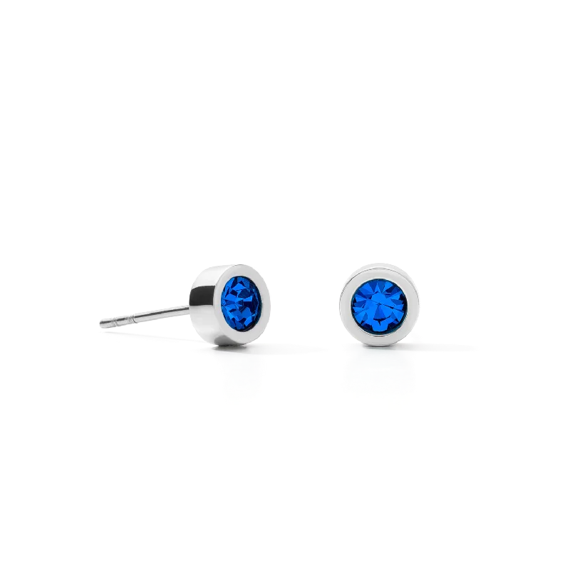 Statement drop earrings for women-Earrings Crystal & stainless steel silver bleu